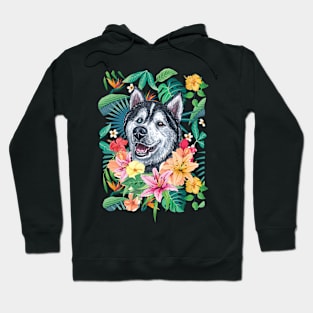 Tropical Siberian Husky 10 Hoodie